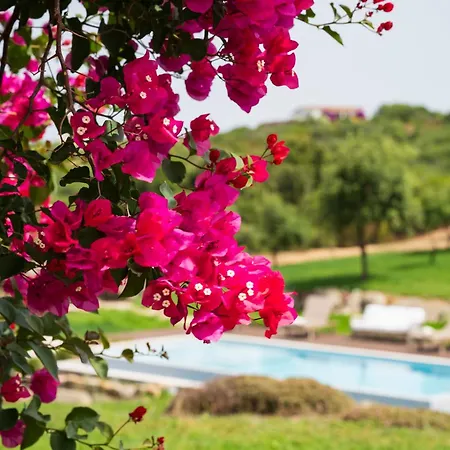 Дом отдыха North Sardinia Retreats Stazzo Liccia Barria - Con Piscina *