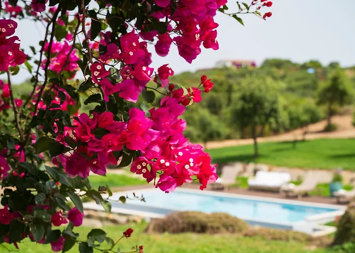 度假居 North Sardinia Retreats Stazzo Liccia Barria - Con Piscina *