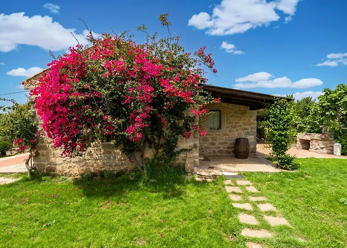 Tatil Evi North Sardinia Retreats Stazzo Liccia Barria - Con Piscina